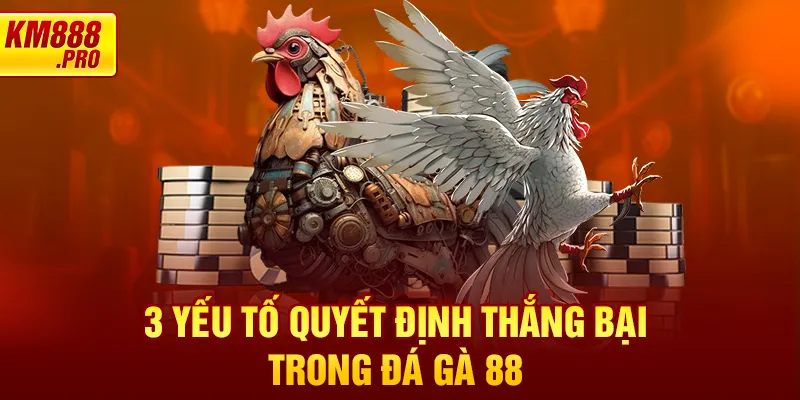 3 yếu tố quyết định thắng bại trong đá gà 88