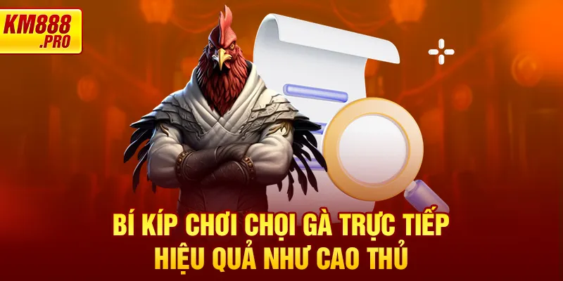 Bí kíp chơi chọi gà trực tiếp hiệu quả như cao thủ