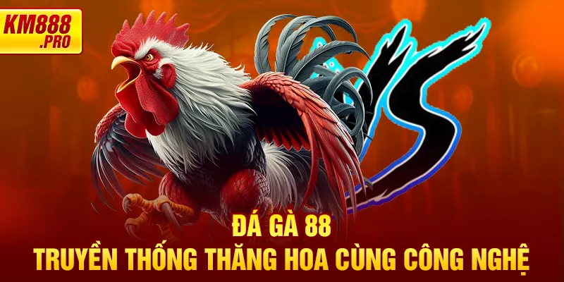 Đá gà 88 - Truyền thống thăng hoa cùng công nghệ