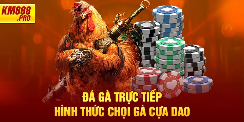 Đá gà trực tiếp - Hình thức chọi gà cựa dao