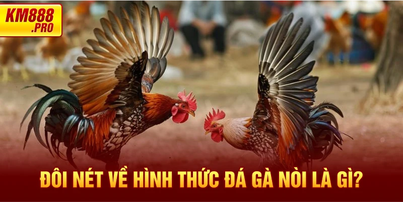 Đôi nét về hình thức Đá Gà Nòi là gì?