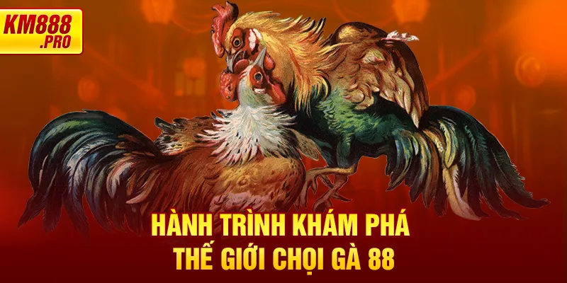 Hành trình khám phá thế giới chọi gà 88