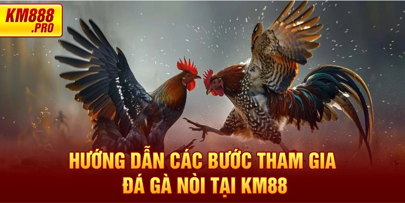 Hướng dẫn các bước tham gia Đá Gà Nòi tại KM88