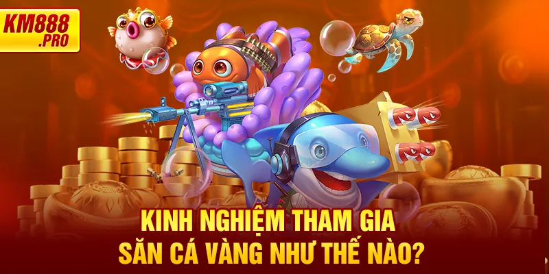 Kinh nghiệm tham gia Săn Cá Vàng như thế nào?