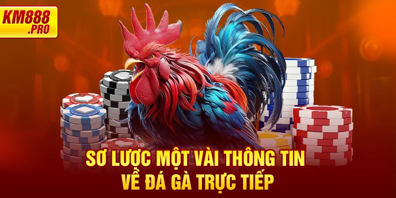 Sơ lược một vài thông tin về đá gà trực tiếp