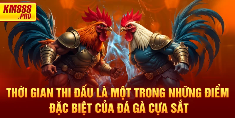 Thời gian thi đấu là một trong những điểm đặc biệt của đá gà cựa sắt